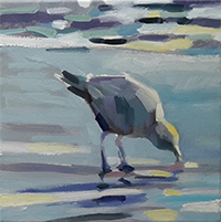 möwe02