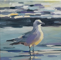 möwe01